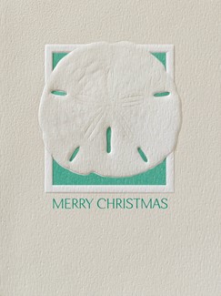 Sand Dollar | Nautical boxed Christmas cards
