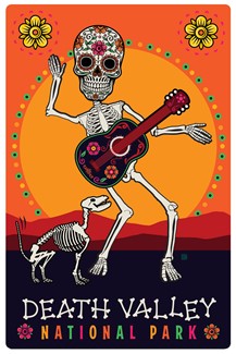 Death Valley National Park Skeleton Magnetic Postcard | Themed Magnet Postcard