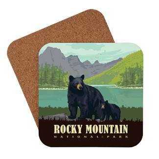 Black Bear in Rocky Mountain National Park