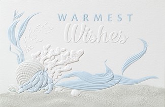 Curious Crab | Seashell themed Christmas cards