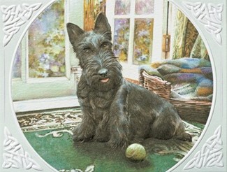 Scotty | Dog lover note cards