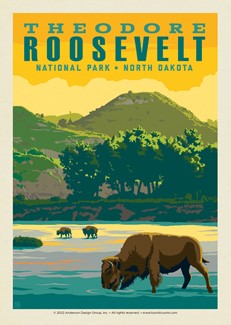 Theodore Roosevelt NP Bison | Postcard