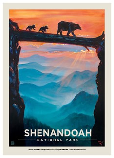 Shenandoah Bear Crossing | Postcard