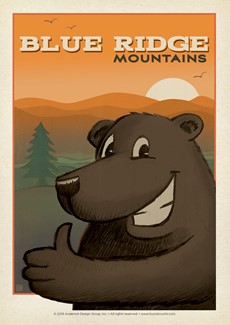 BRM Bear Thumbs Up | Postcard