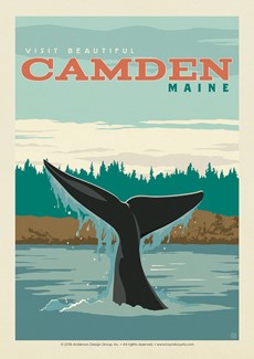 ME Whale Tail Camden | Postcards