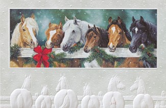Stable Buddies | Farm themed boxed Christmas cards