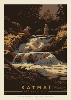 Katmai NP Bathing Bears| Postcard
