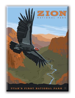 Zion NP Condor Magnet| National Park themed magnets