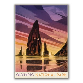 Olympic NP Pelican Sunset Magnet | American Made Magnet