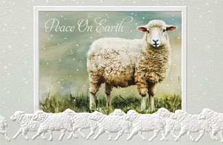 Leicester Longwool | Farm boxed Christmas cards