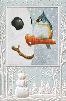 Nosey Titmouse | Bird themed boxed Christmas cards