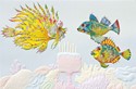 Fish Frenzy Folded - W/Env