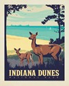 Indiana Dunes 8" x10" Print