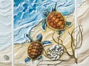 Turtle Twins