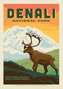 Denali Caribou Postcard