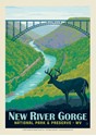 New River Gorge NP & Preserve Postcard