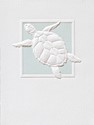Sea Turtle Splash