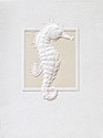 Seahorse Saunter
