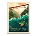 New River Gorge National Park & Preserve Fish-Eye View Postcard