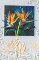 Birds of Paradise Folded - W/Env