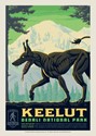 Denali's Keelut Postcard