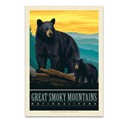 Great Smoky Mountains NP Black Bears Postcard