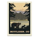 Boulder Colorado Bears Postcard