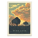 Wind Cave NP Bison Sunrise Postcard