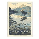 Grand Teton NP Meandering Moose Postcard