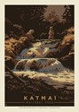 Katmai NP Bathing Bears Postcard