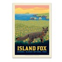 Channel Islands NP Island Fox Postcard