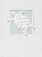 Sea Turtle Splash