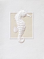 Seahorse Saunter