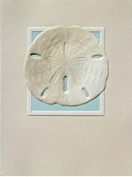 Sand Dollar (BKIN) Petite Folded - W/Env