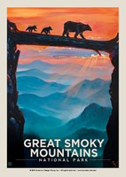 Great Smoky Bear Crossing Postcard