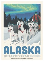 Alaska Dog Sled Postcard