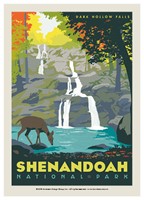 Shenandoah Dark Hollow Falls Postcard