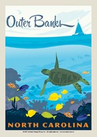 Outer Banks Turtle Postcard
