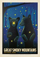 Great Smoky Firefly Cubs Postcard