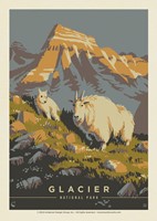 Glacier NP Mama Goat Postcard