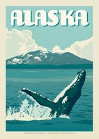 AK Whale Breaching Postcard