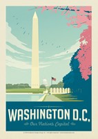 Washington, DC Cherry Blossoms Postcard