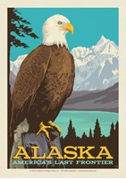 AK Perched Eagle Postcard