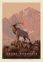 Rocky Mountain NP Lone Elk Postcard