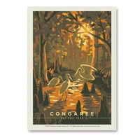 Congaree NP Daybreak Vert Sticker